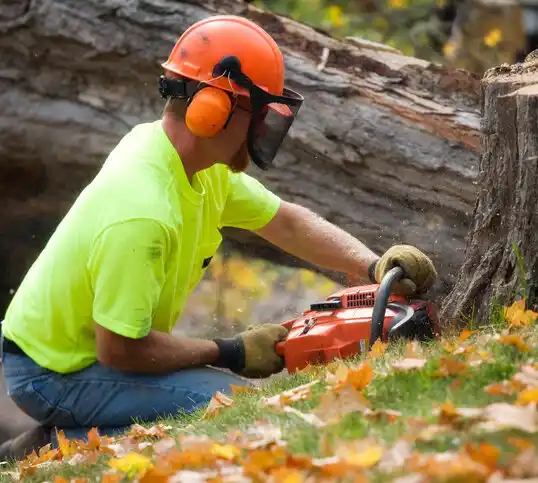 tree services Hi-Nella